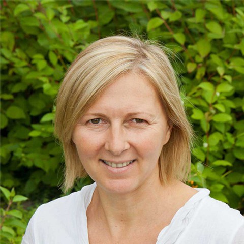 Steph Hodge